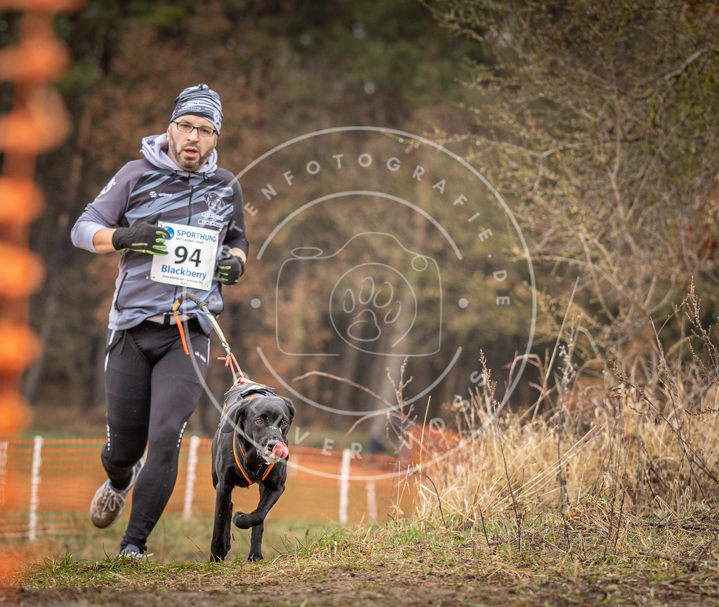 DV3A0503 | Hundefotografie, Tierfotograf, Pfotenfotografie, Fotoshooting Hund, Hunde Portrait, Hundesport, Hundeportraits, Heideshooting, Hunde, Sportfotograf, Hundefotograf, Turnierhundsport, THS,  - Realisiert mit Pictrs.com