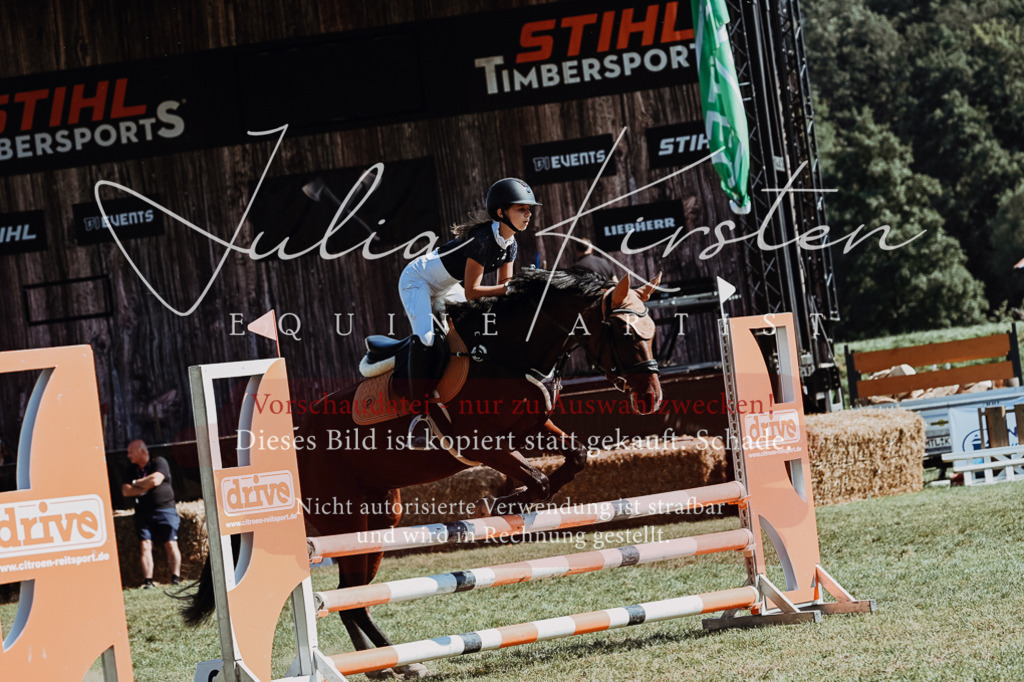 DSC_6578 | Pferde- und Turnierfotografie in Westsachsen. Pferdeportraits, Auftragszeichnungen und intuitive Kunst.