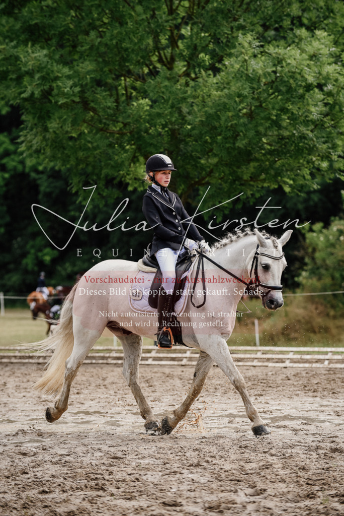 DSC_9442 | Pferde- und Turnierfotografie in Westsachsen. Pferdeportraits, Auftragszeichnungen und intuitive Kunst.