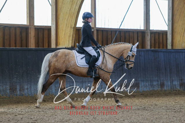 IMG_0842 | Turniersportfotografie; Pferdefotografie; Dressurfotografie