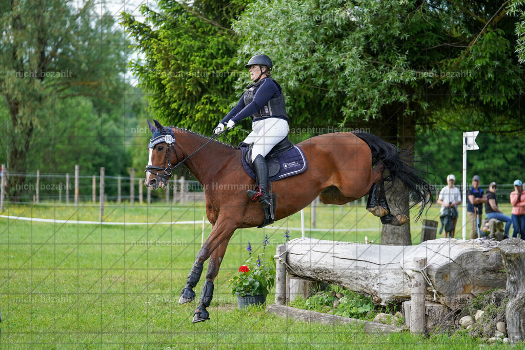 20240518-FAH04175 | Turnierbilder von Niederseon, Turnierfotografen Bayern, Fotoagentur Herrmann, Geländebilder, Reitsportfotografie