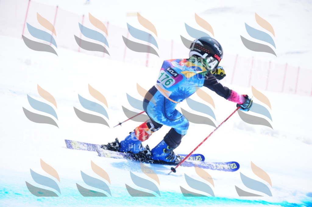 DSC_1551 | holidayphoto