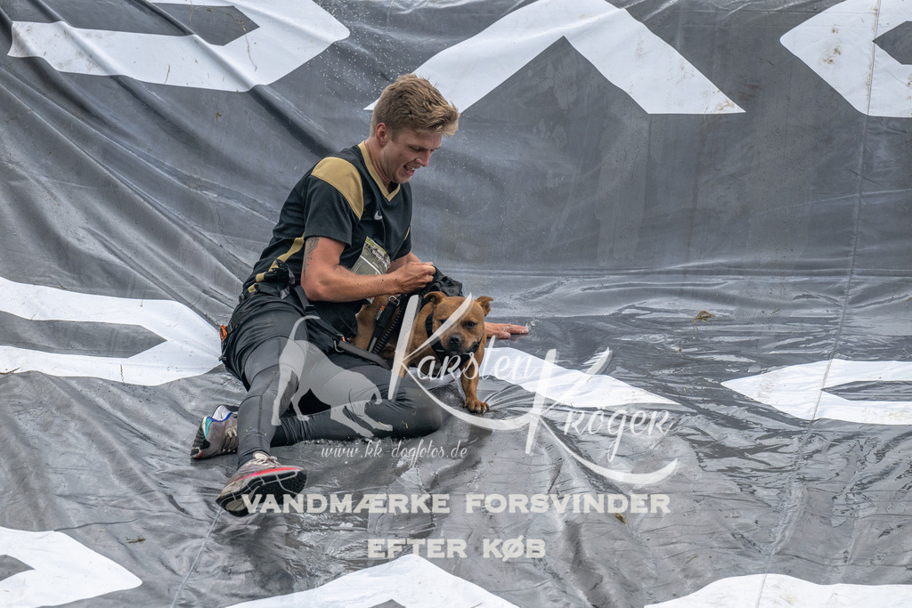 1400_ZZ93685 | kk-dogfotos