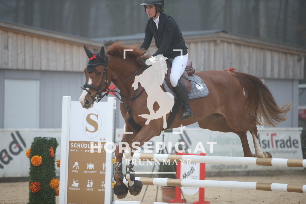 PP012404 | Willkommen bei Brunnmayr - Design & Fotografie – Ihrem Spezialisten für Reitturniere und Pferdeveranstaltungen in Oberösterreich, Salzburg und Bayern! Seit über 17 Jahren sind wir leidenschaftlich dabei.