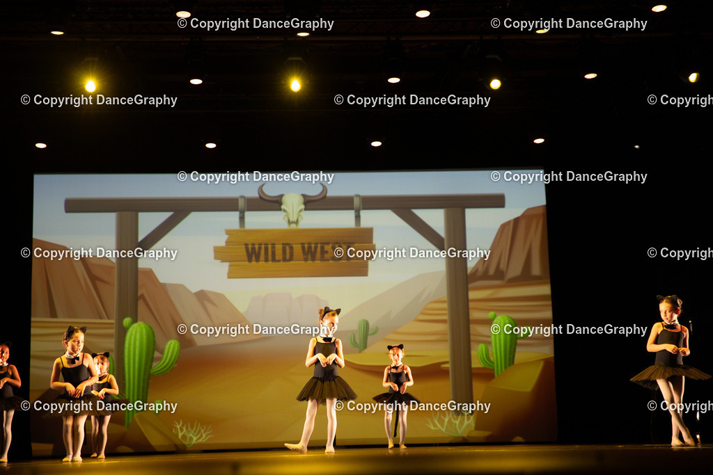 GPHY4232 | DanceGraphy - Realisiert mit Pictrs.com