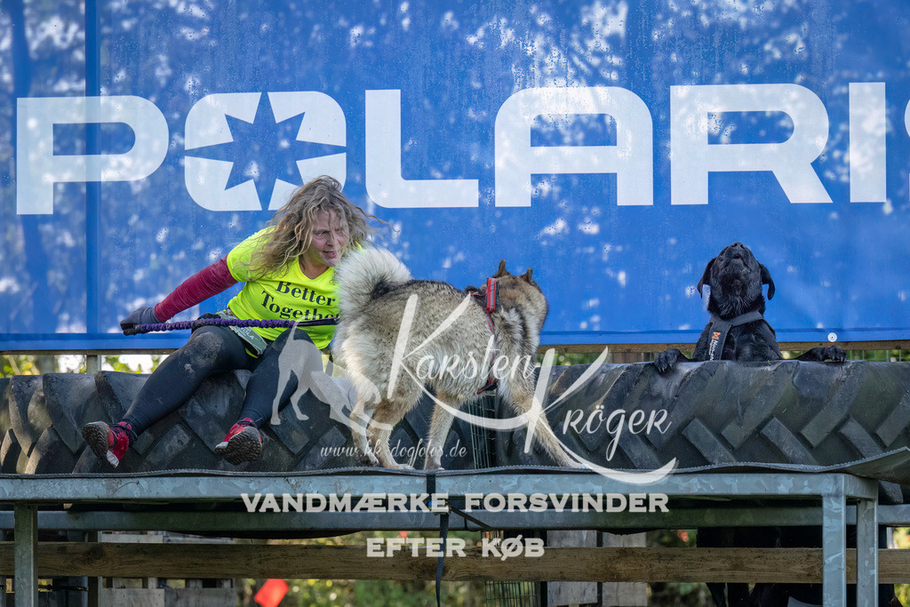 1044--6 | kk-dogfotos