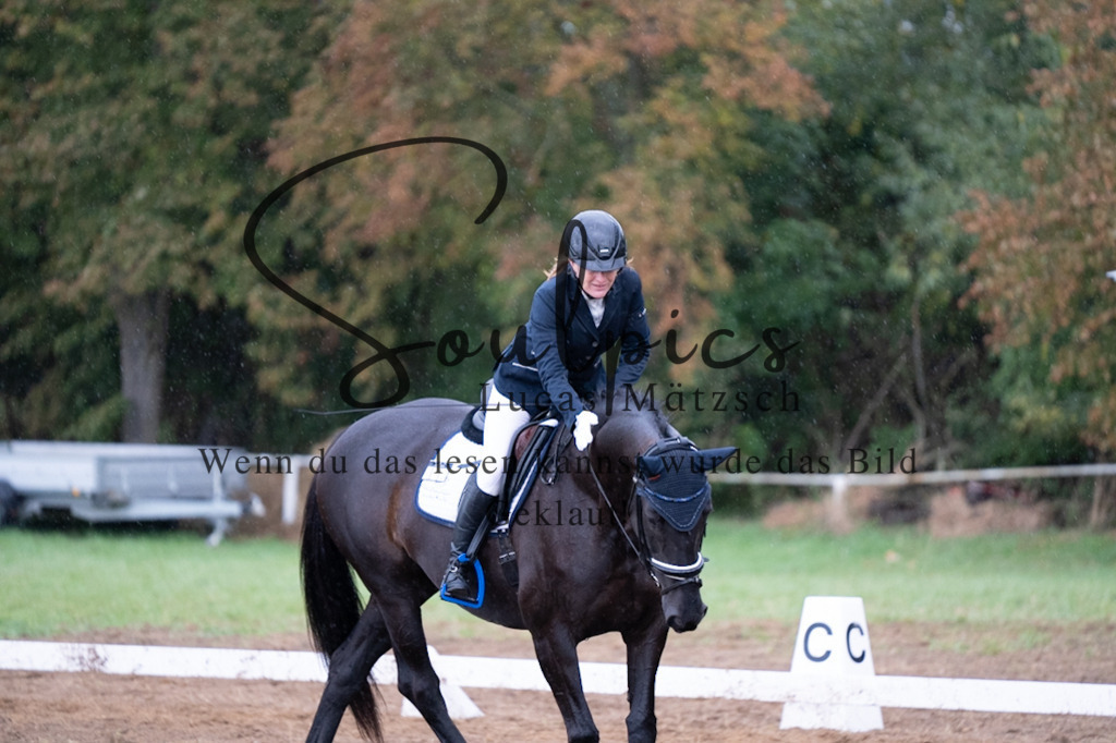 A7V05963 | Pferdefotograf