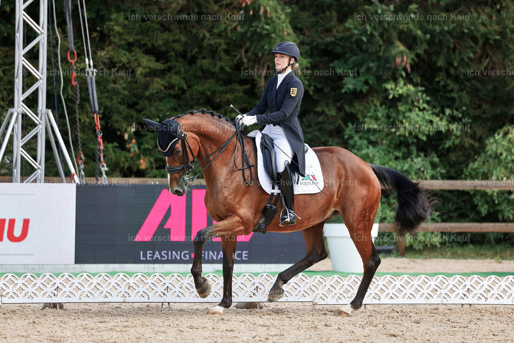 07-003-DRESSUR  S___  -StoibPH-5070 | working equitationturnier fotograf videograf stoibphotography marixx film working equitation deutschland reitsport turnierfotografie eventfotografie equestrian events