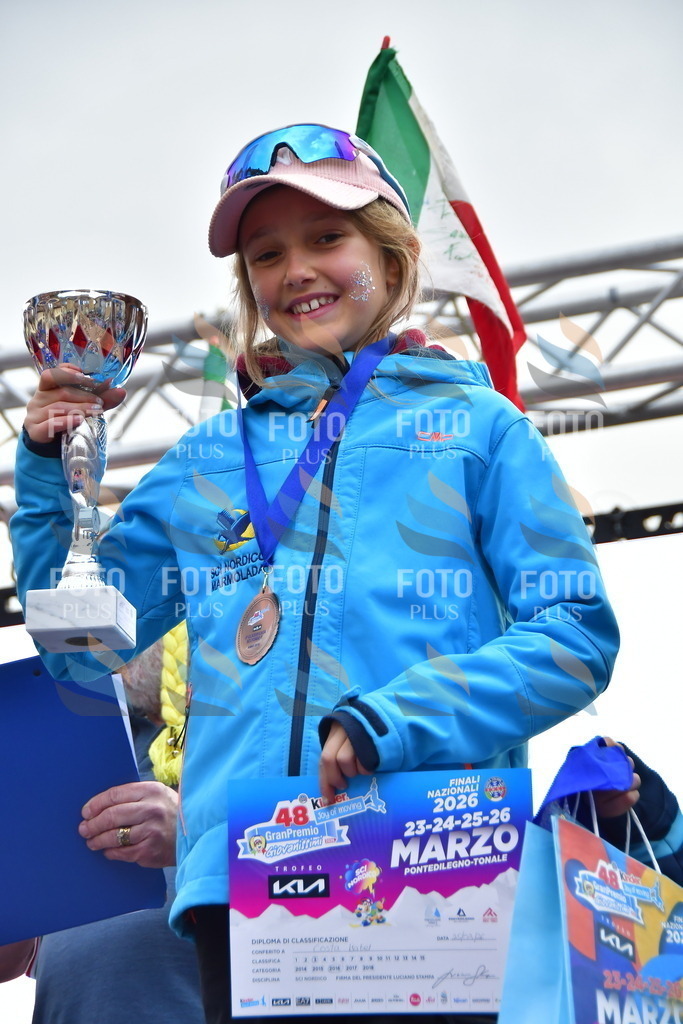 _DSC1803 | holidayphoto