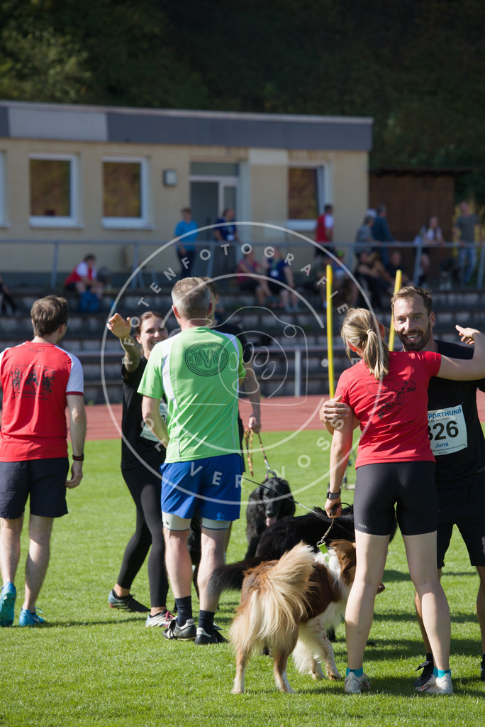 0L8A8838 | Hundefotografie, Tierfotograf, Pfotenfotografie, Fotoshooting Hund, Hunde Portrait, Hundesport, Hundeportraits, Heideshooting, Hunde, Sportfotograf, Hundefotograf, Turnierhundsport, THS,  - Realisiert mit Pictrs.com