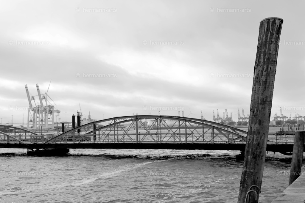 Hamurg_Arts-025 | Photo Foto Kunst Art schwarzweiss Bilder Rheine Münster Berlin Blumen 