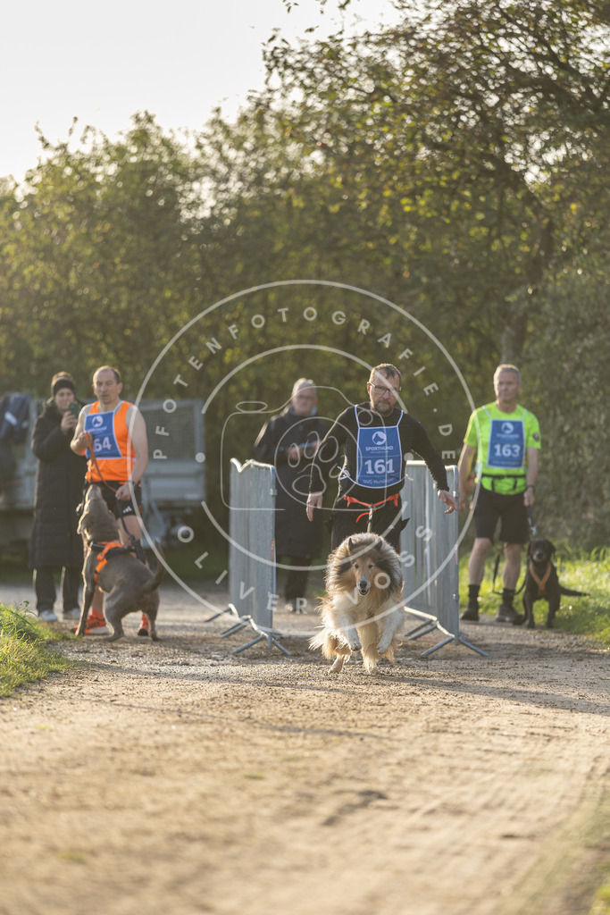 Pfotenfotografie.de_DV3A2661 | Hundefotografie, Tierfotograf, Pfotenfotografie, Fotoshooting Hund, Hunde Portrait, Hundesport, Hundeportraits, Heideshooting, Hunde, Sportfotograf, Hundefotograf, Turnierhundsport, THS, canicross - Realisiert mit Pictrs.com