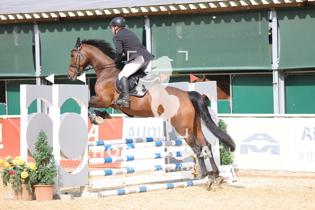 0P6A2149 | Willkommen bei Brunnmayr - Design & Fotografie – Ihrem Spezialisten für Reitturniere und Pferdeveranstaltungen in Oberösterreich, Salzburg und Bayern! Seit über 17 Jahren sind wir leidenschaftlich dabei.
