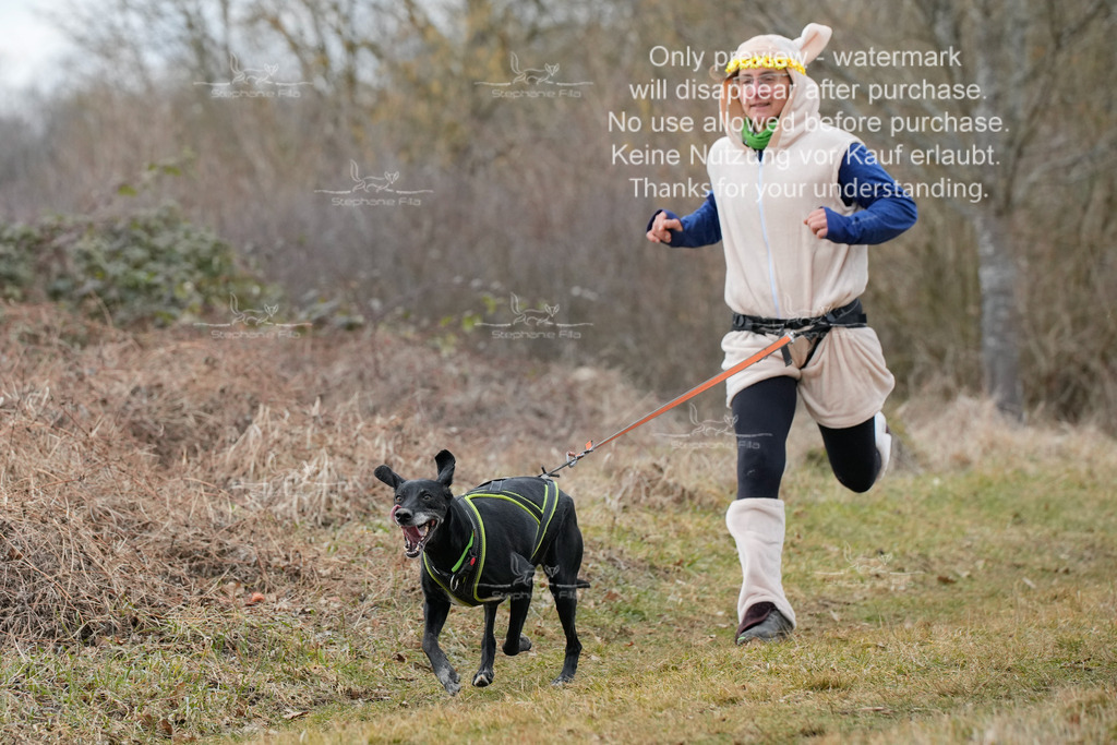 Fasching-10 | stephaniefillaphotographie - Realisiert mit Pictrs.com