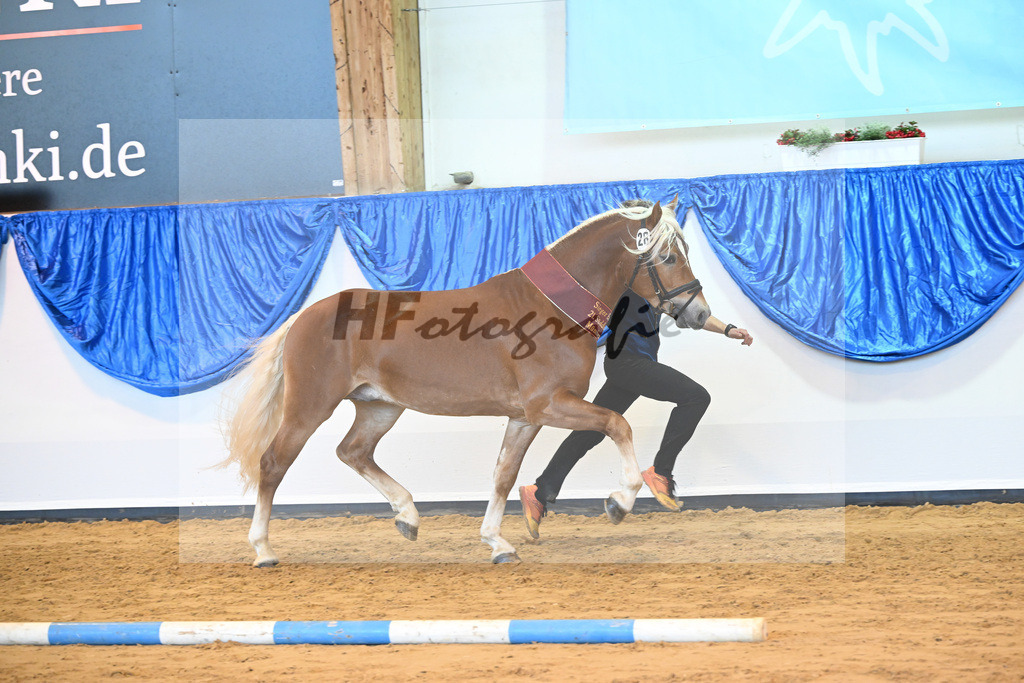 Kat-Nr. 28 Napoleon v. Nakuri_Lechner_60221649 | hf-fotografie - Realisiert mit Pictrs.com