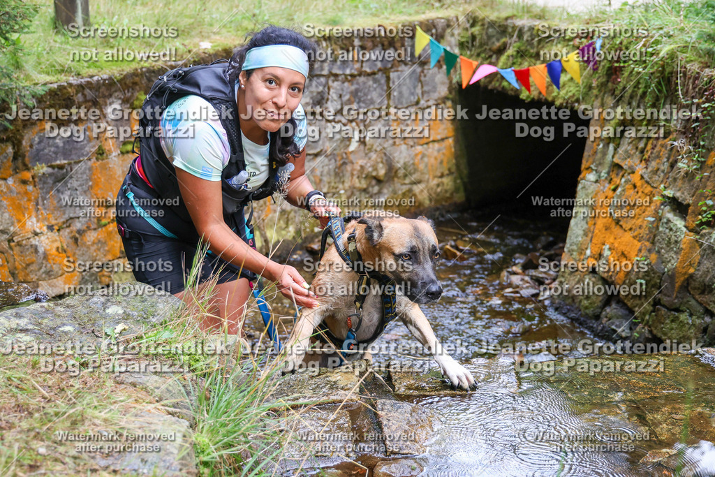 Dog Paparazzi -  TH 26-78 | Dog Paparazzi Jeanette Grottendiek Fotografie & Videografie - Realisiert mit Pictrs.com