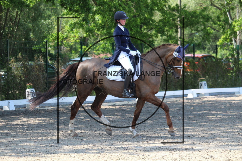 IMG_5166 | franziskalange - Realisiert mit Pictrs.com