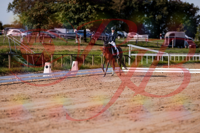 2026_10_03_Siefer-Hof_114854_Z81_87980940 | Professionelle Reitsport-, Turnier- und Eventfotografie von Robert Broda. Galerien mit ausgewählten und bearbeiteten Bildern direkt online ansehen und bestellen.