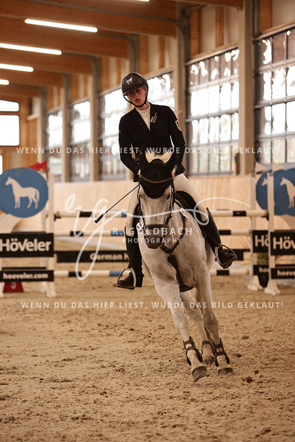 1J2A8515Alina Maack_ Catalano 22_ Kn090_ Glantz_ Hohen Wieschendorf | Foto- und Videografie für alles rund ums Pferd. Hochwertige Bilder und Videos vom Spring- und Dressurreiten, Voltigieren & mehr. Jetzt aktuelle Veranstaltungen und Preise im Shop ansehen. - Realisiert mit Pictrs.com