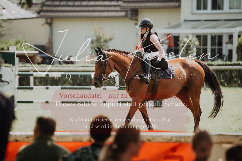 DSC_0576 | Pferde- und Turnierfotografie in Westsachsen. Pferdeportraits, Auftragszeichnungen und intuitive Kunst.