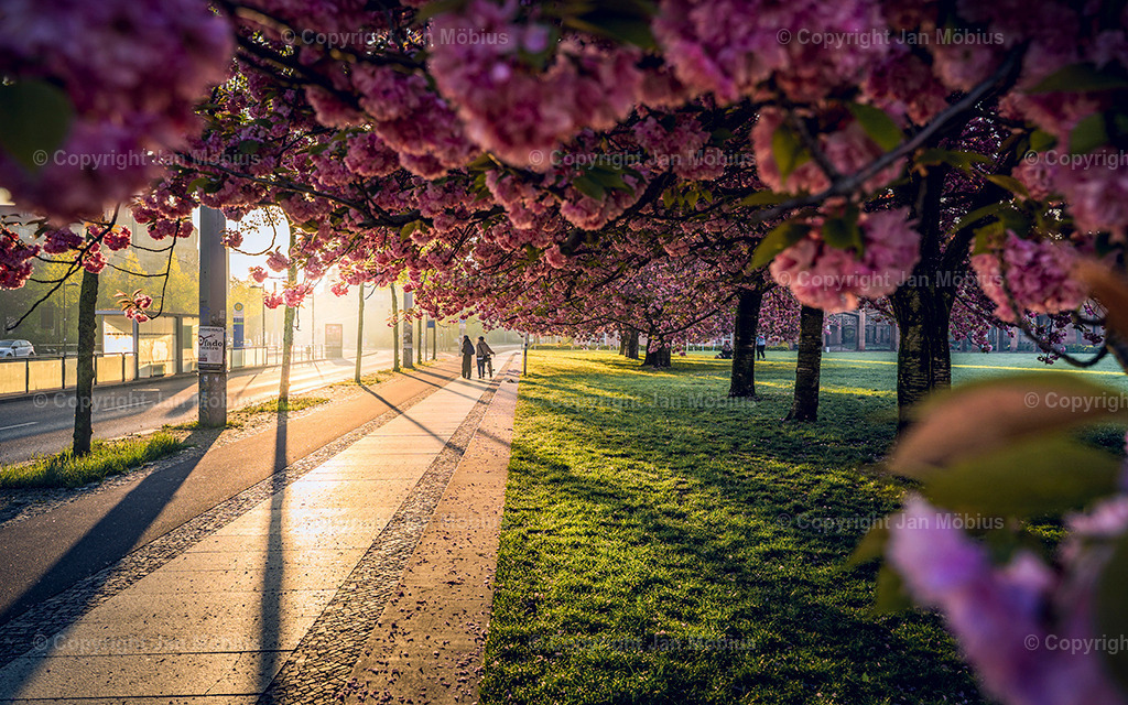 _DSC1754-2 | Leipzig Wandbilder Drucke Prints Leinwand Stadtmotive Leipzig Fotosdruck Kunstdrucke Bilder Leipzig Stadtansichten Acrylglasbilder Leipzig Wanddeko Fine Art Prints Wandbilder Büro Leipzig Bilder Praxis Zuhause Bilderdruck Poster Posterlounge Kunstdrucke - Realisiert mit Pictrs.com