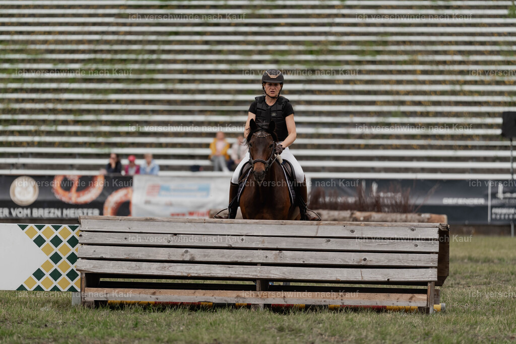 Showprogramm-396 | working equitationturnier fotograf videograf stoibphotography marixx film working equitation deutschland reitsport turnierfotografie eventfotografie equestrian events