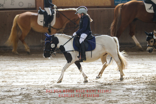 DKP44959 | Turniersportfotografie; Pferdefotografie; Dressurfotografie