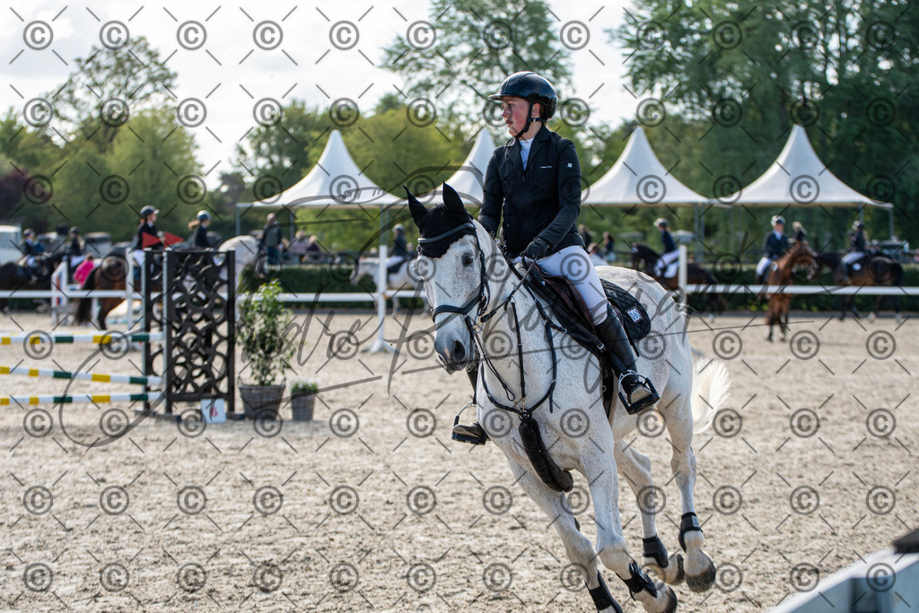 KPT_4393 | andre_photographic