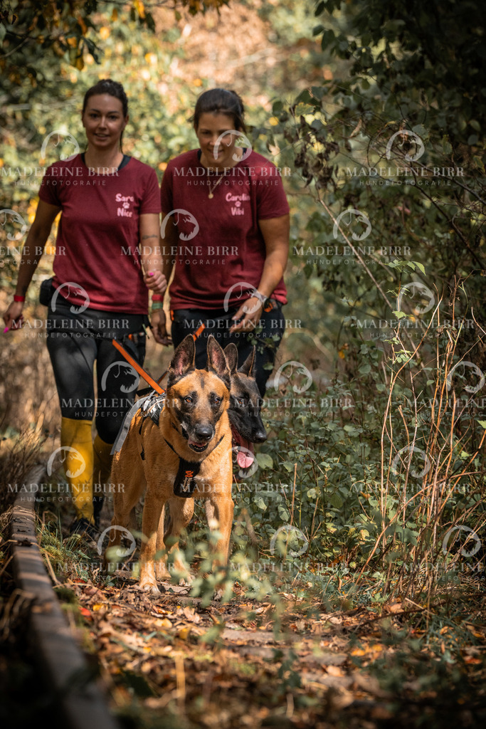 madeleinebirr.fotografie.2026.cc.hunsrueck.12-13Uhr.307 | hundefotografie-birr