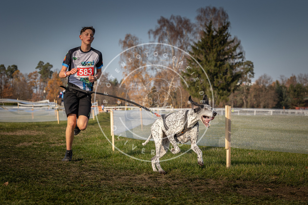 CaniXpix_0L8A9605 | Hundefotografie, Tierfotograf, Pfotenfotografie, Fotoshooting Hund, Hunde Portrait, Hundesport, Hundeportraits, Heideshooting, Hunde, Sportfotograf, Hundefotograf, Turnierhundsport, THS,  - Realisiert mit Pictrs.com