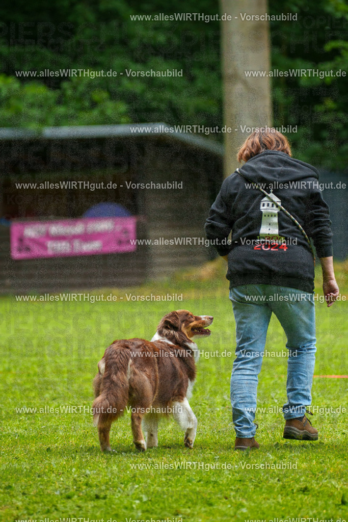 @allesWIRTHgut_Tierfotografie - www.allesWIRTHgut.de - 7R502549 | Professionelle Tierfotografie in Mönchengladbach von Daniel Wirth (allesWIRTHgut). Liebevolle & natürliche Bilder von Hunden & Katzen für unvergessliche Erinnerungen.