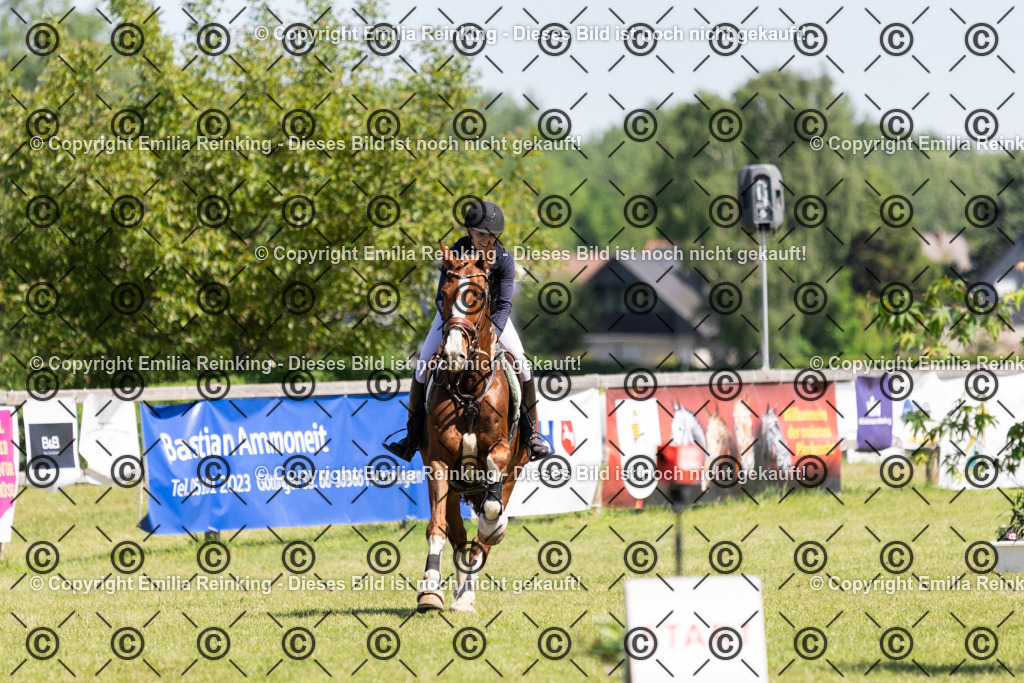 CL5A1068 | Emilia Reinking Fotografie - Realisiert mit Pictrs.com