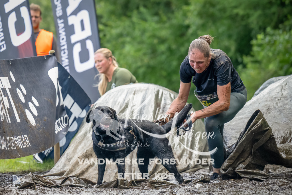 1145_ZZ94114-Bearbeitet | kk-dogfotos