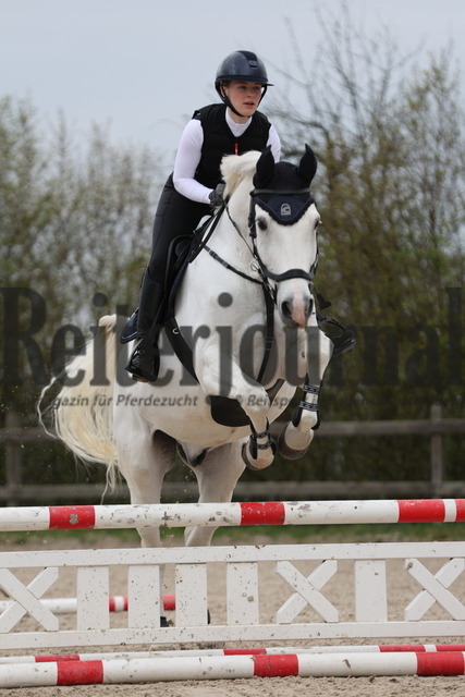 0S4A8080 | Alle Fotos der Reiterjournal Fotografin Doris Matthaes im Reiterjournal Online-Fotoshop. - Realisiert mit Pictrs.com