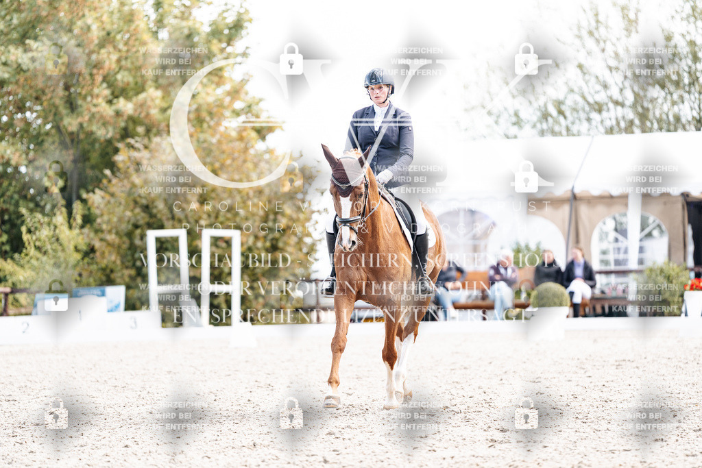 CK901895 | Turnierfotografie Pferdefotografie Trier Rheinland-Pfalz Pferdesport Reitsport Tierfotografie Sportfotografie Pferdevideo Pferdevideografie Equestrianvideography equestrianphotography  - Realisiert mit Pictrs.com