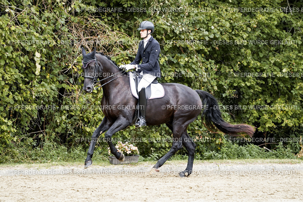 DSC05669 | Pferdegrafie