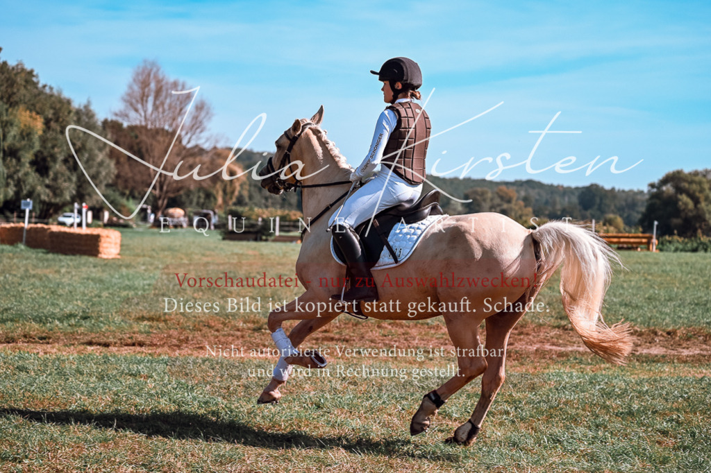 DSC_1114 | Pferde- und Turnierfotografie in Westsachsen. Pferdeportraits, Auftragszeichnungen und intuitive Kunst.