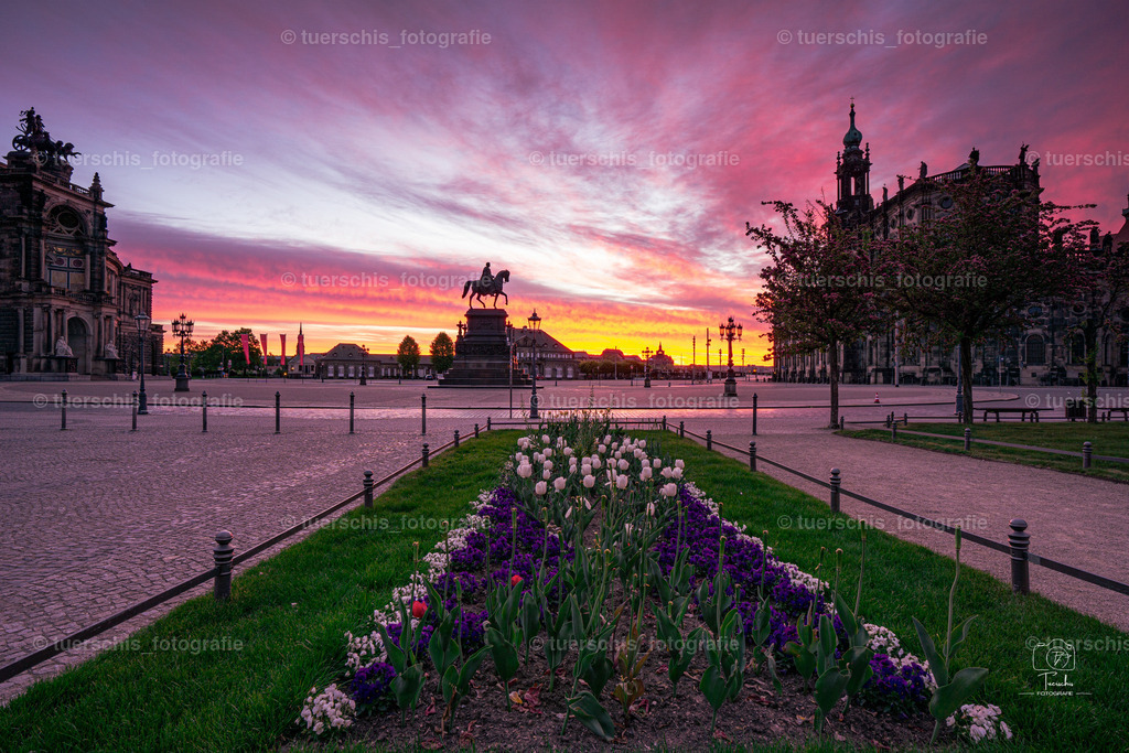 _DSC8609-2 | tuerschis_fotografie - Realisiert mit Pictrs.com