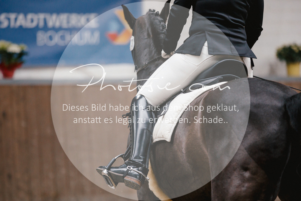 3I6A6531 | Stimmungsvolle Portraits und Reitsportfotografie im Ruhrgebiet und im Münsterland.

Pferdefotografie, Hundefotografie, Tierfotografie, Reportagen, Portraits von Tier und Mensch, Turnierfotografie in Bochum, Recklinghausen, Marl, Haltern am See, Dülmen.. - Realisiert mit Pictrs.com