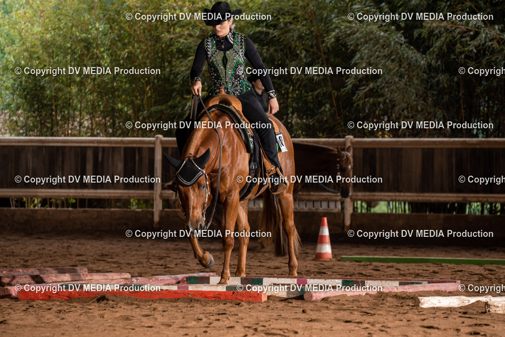 Erbach Tag 3-126 | dv-media-shop - Realisiert mit Pictrs.com