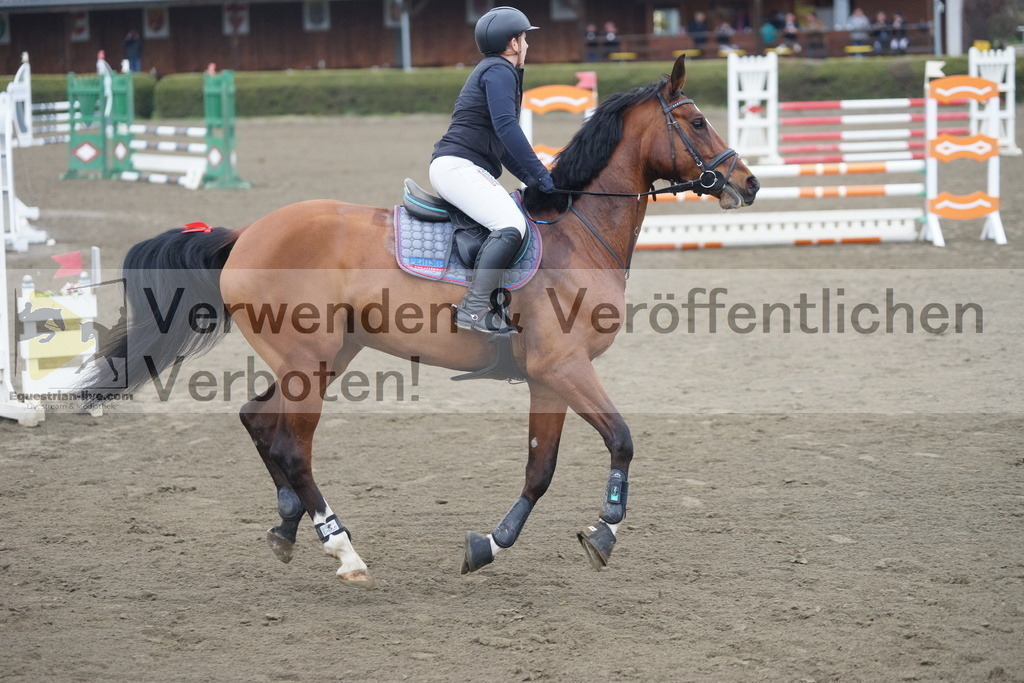 DSC00325 | equestrian-live-com