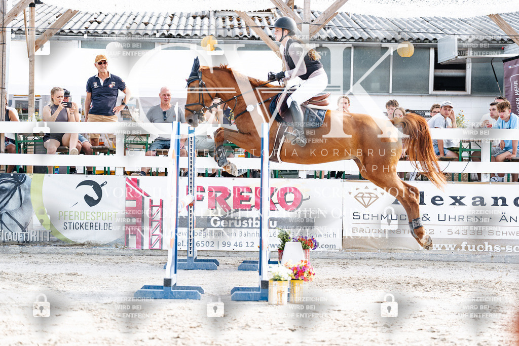 CK906348 | Turnierfotografie Pferdefotografie Trier Rheinland-Pfalz Pferdesport Reitsport Tierfotografie Sportfotografie Pferdevideo Pferdevideografie Equestrianvideography equestrianphotography  - Realisiert mit Pictrs.com