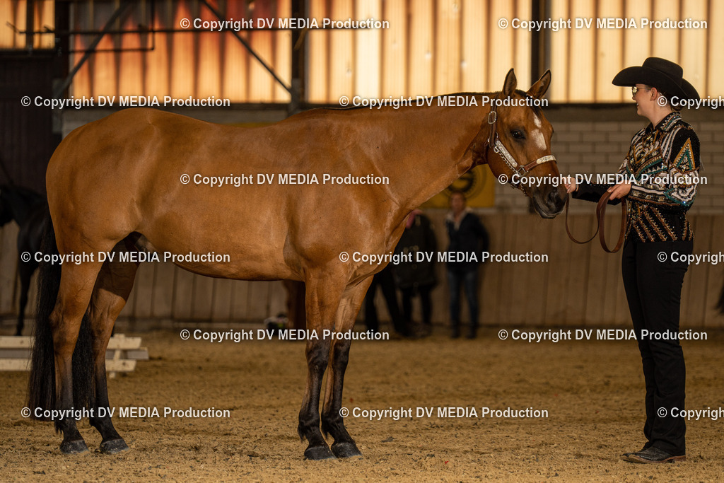 Zeiskam Tag 1-276 | dv-media-shop - Realisiert mit Pictrs.com