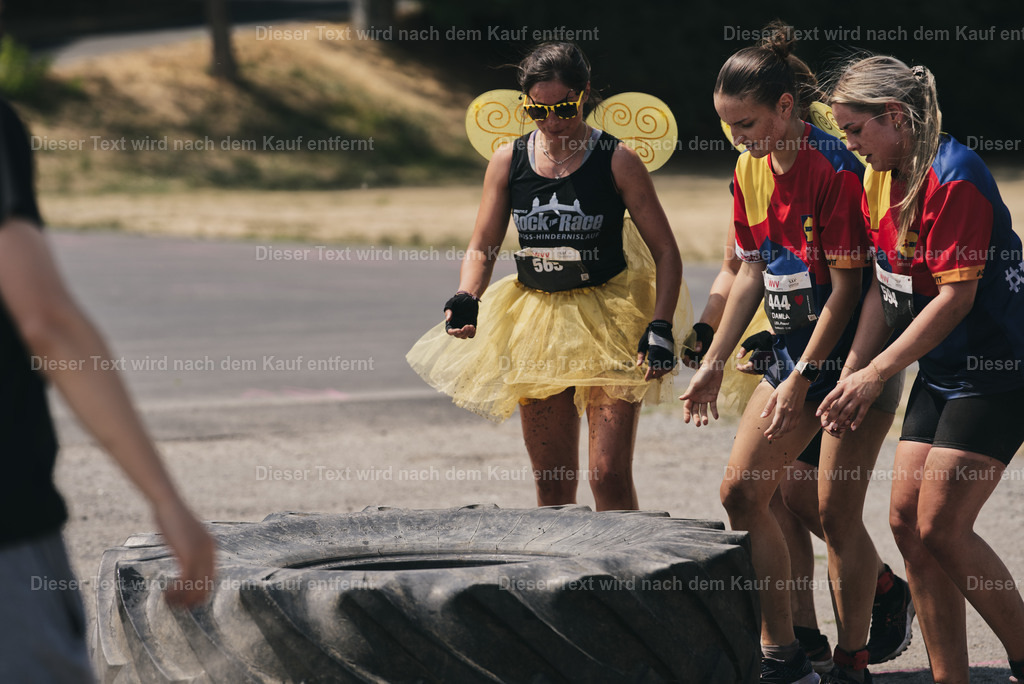 rocktherace_et_2026_09_24-378 | Shop für Fotos von Sportevents z.B. Obstacle Course Racing, OCR, Triathlon, Trail Run und MTB - Realisiert mit Pictrs.com