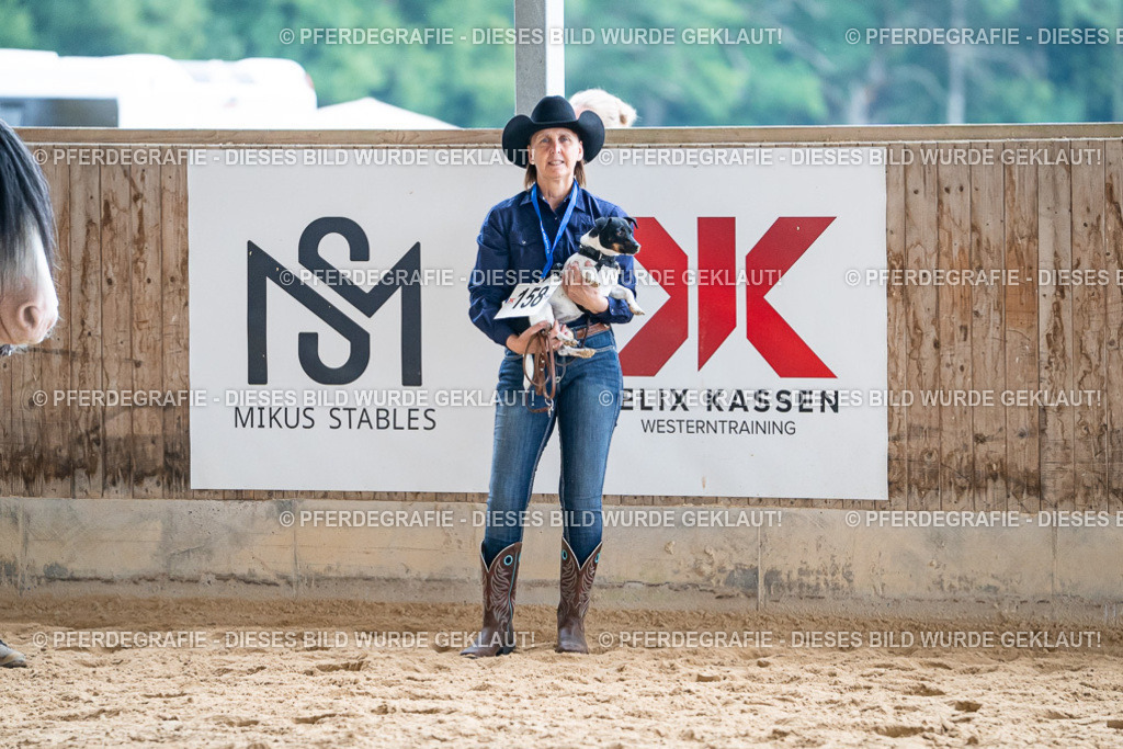 DSC09243 | Pferdegrafie