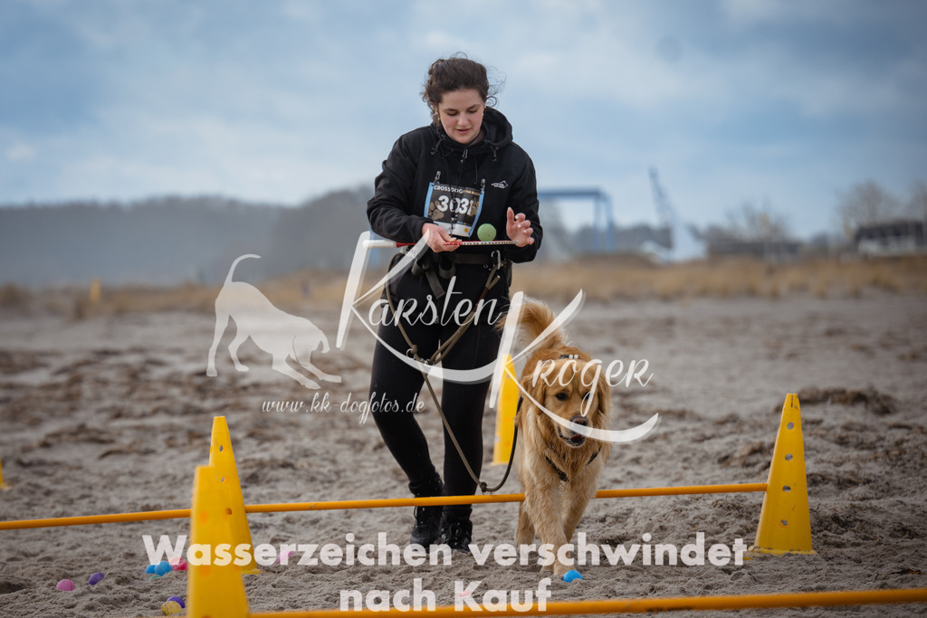 1222_ZZ96291 | kk-dogfotos