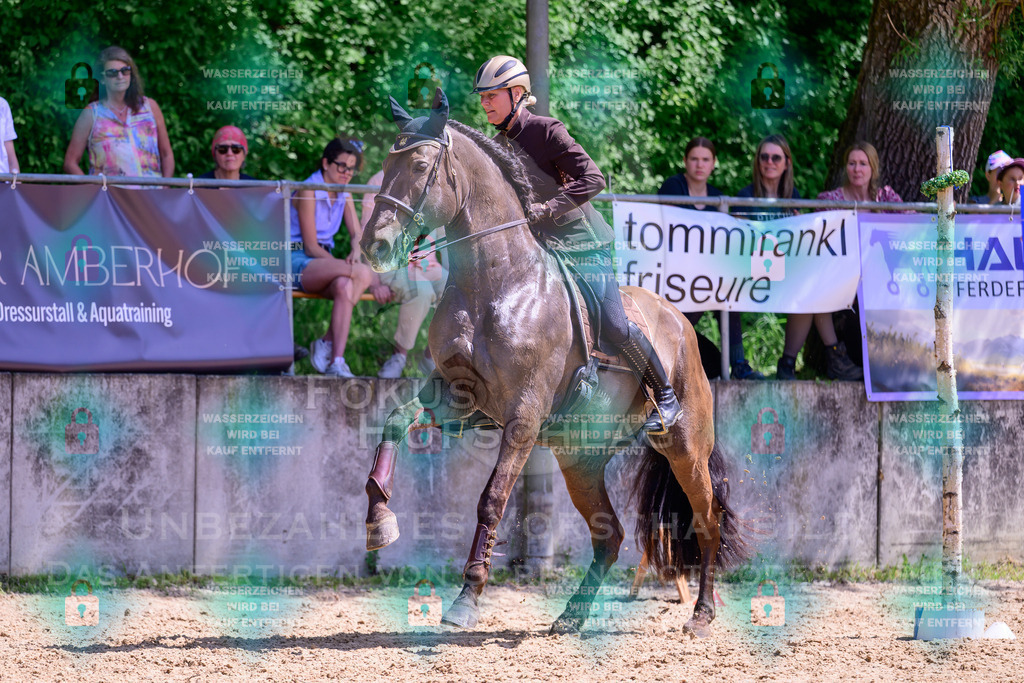 03052026-Giesenbach-05-Stiltrail-0518 | Fokus Hufschlag Fotografie - Realisiert mit Pictrs.com