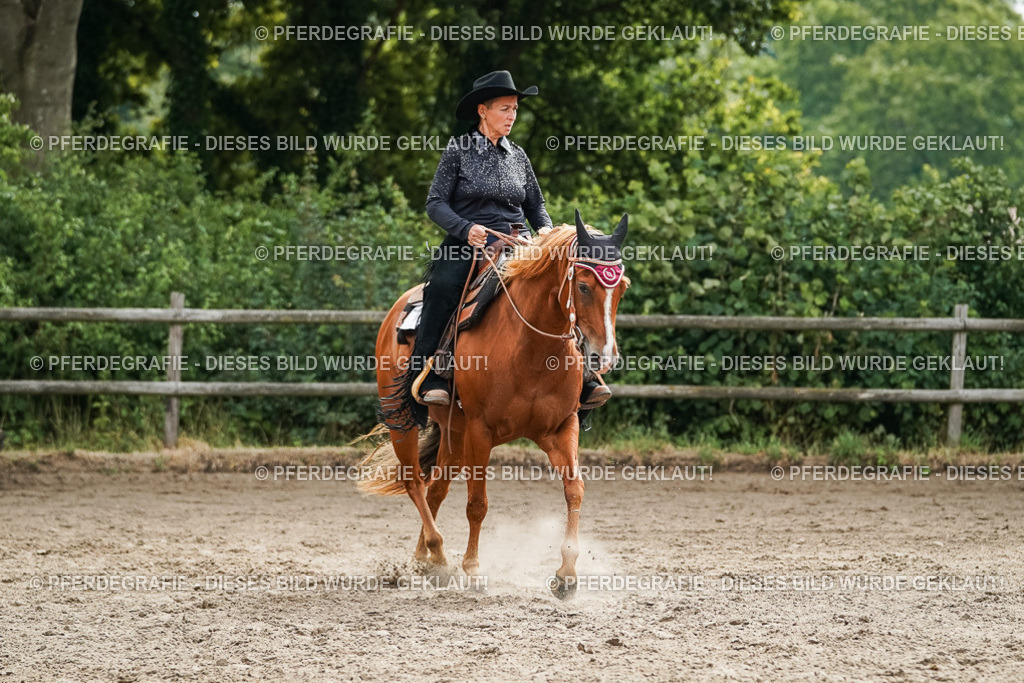 DSC03664 | Pferdegrafie