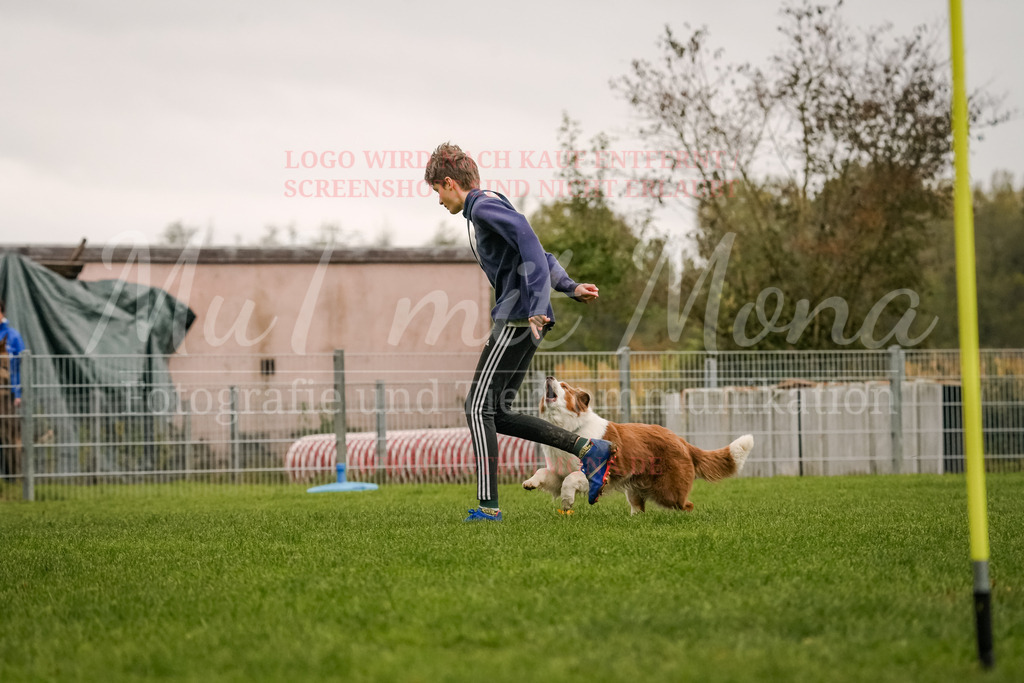 20251005_THS_Turnier-547 | MuT (Mensch und Tier) mit Mona - Fotografie und Tierkommunikation - Realisiert mit Pictrs.com