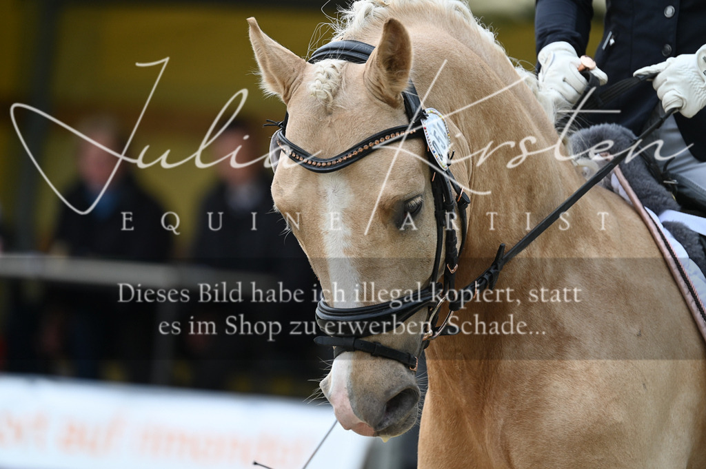 20230512_JK-Röhrsdorf-02-095 | Pferde- und Turnierfotografie in Westsachsen. Pferdeportraits, Auftragszeichnungen und intuitive Kunst.